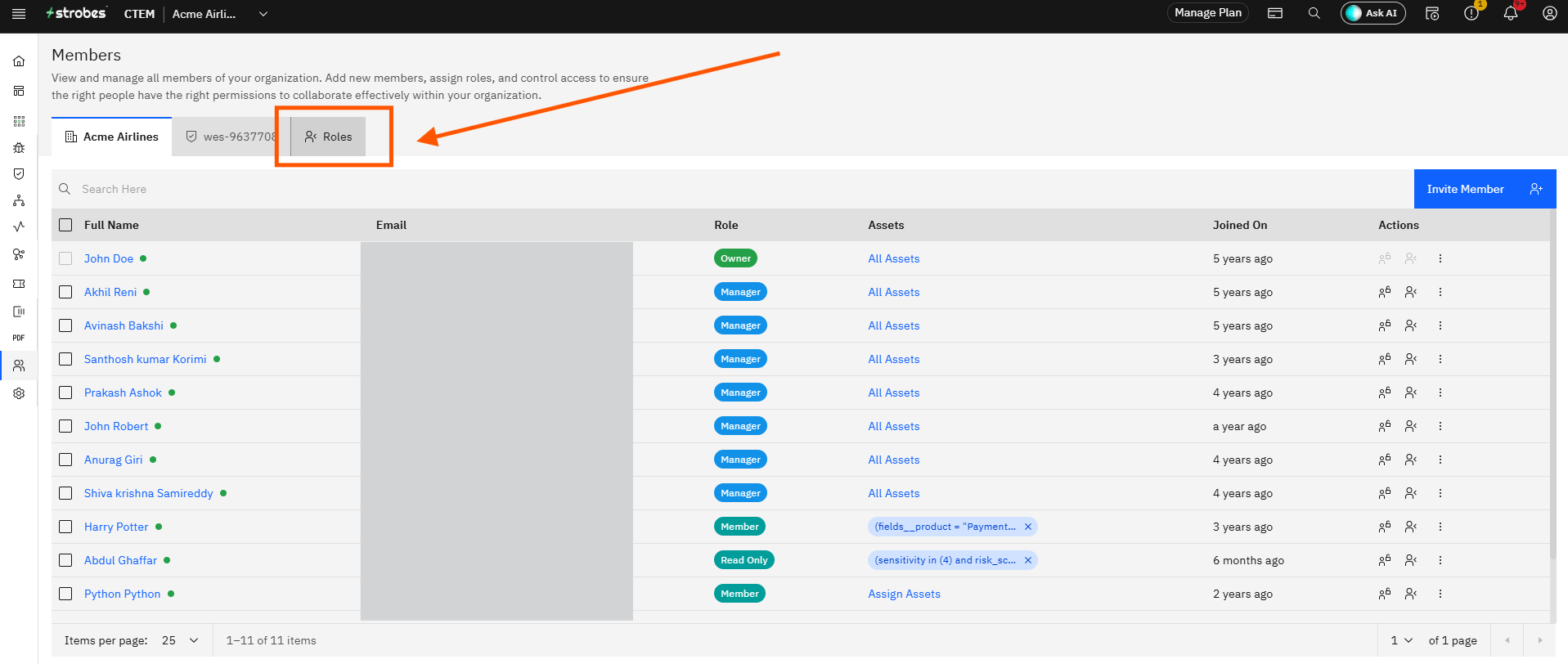 Invite Members and Manage Roles in Strobes: Step 10 — Navigate to the Roles Tab (screenshot 11)