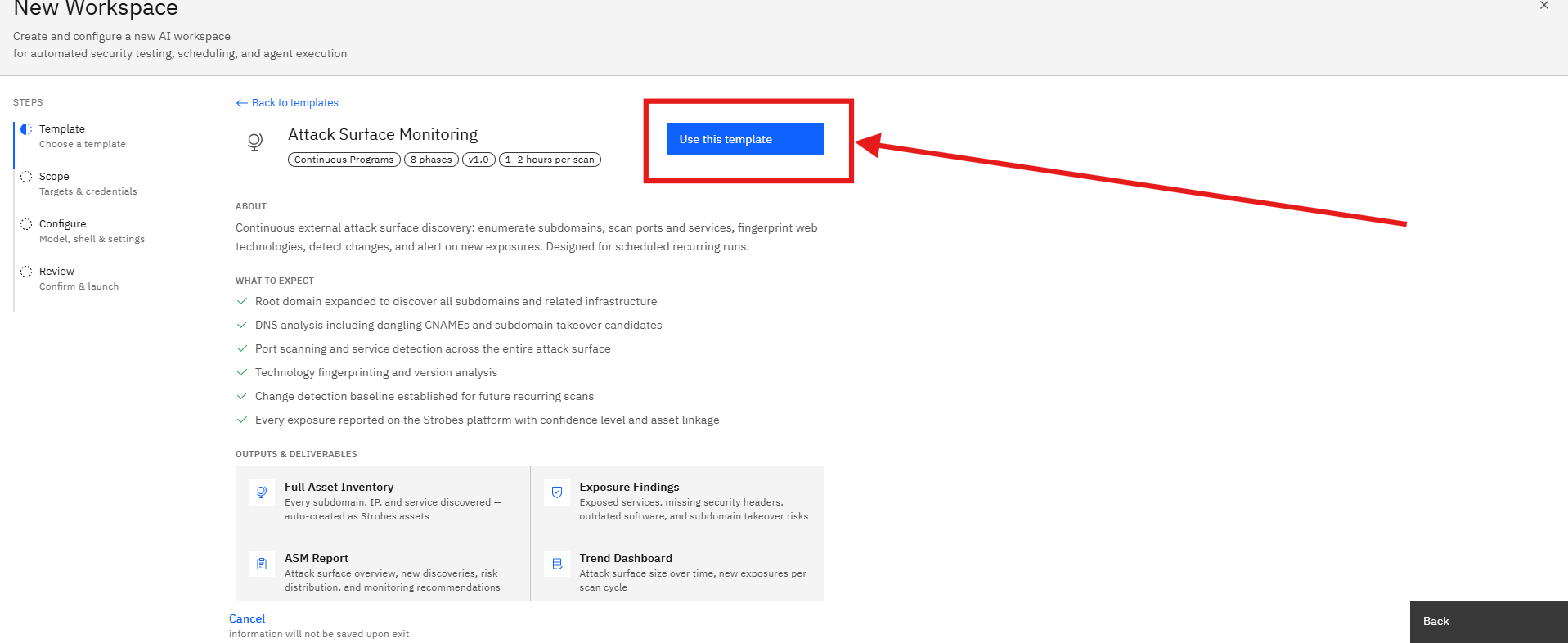Attack Surface Monitoring Template: Deliverables (screenshot 5)