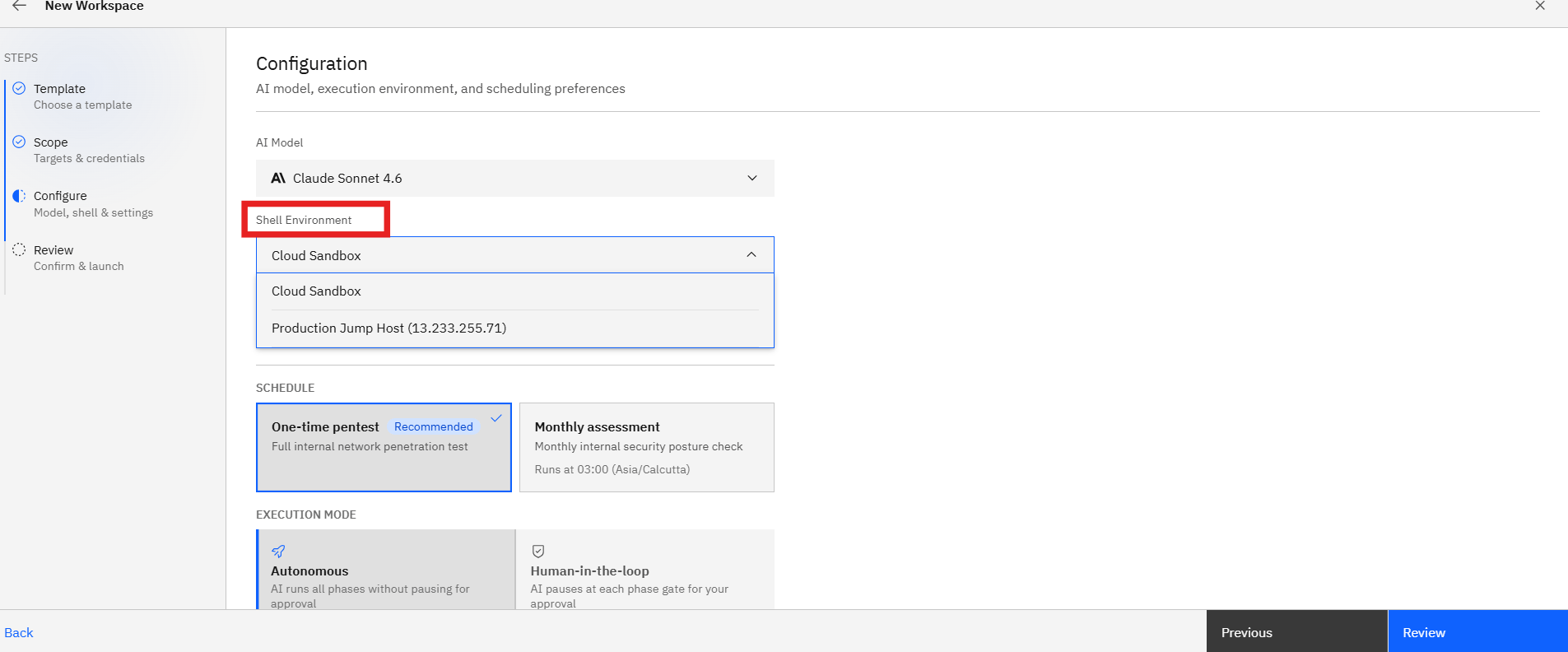 Network Internal Pentest: Step 3: Define the scope (screenshot 6)