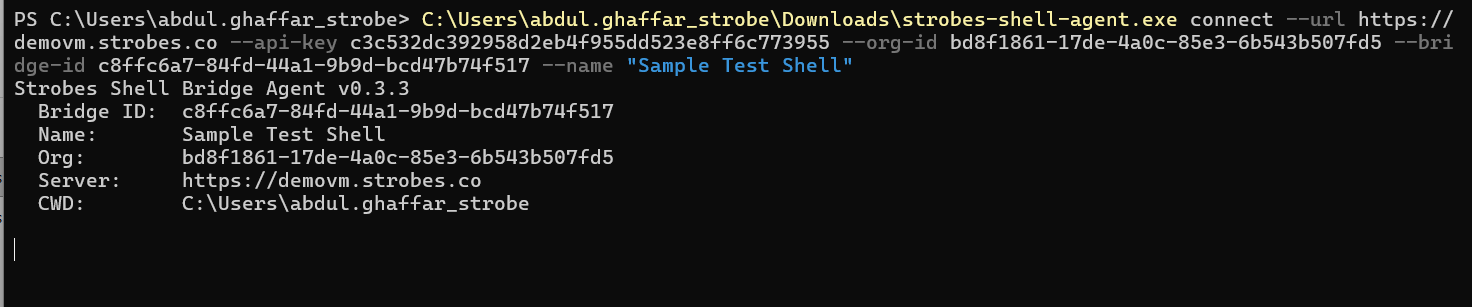 Creating a Shell Using Shell Bridge in Strobes: Step 18 — Confirm the Agent Is Connected (screenshot 16)