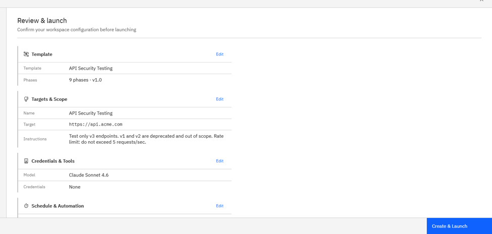 API Security Testing: Step 6: Review and launch (screenshot 4)