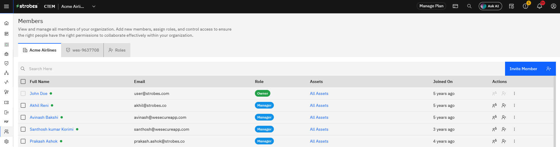 Invite Members and Manage Roles in Strobes: Step 2 — Understanding the Members Table (screenshot 2)