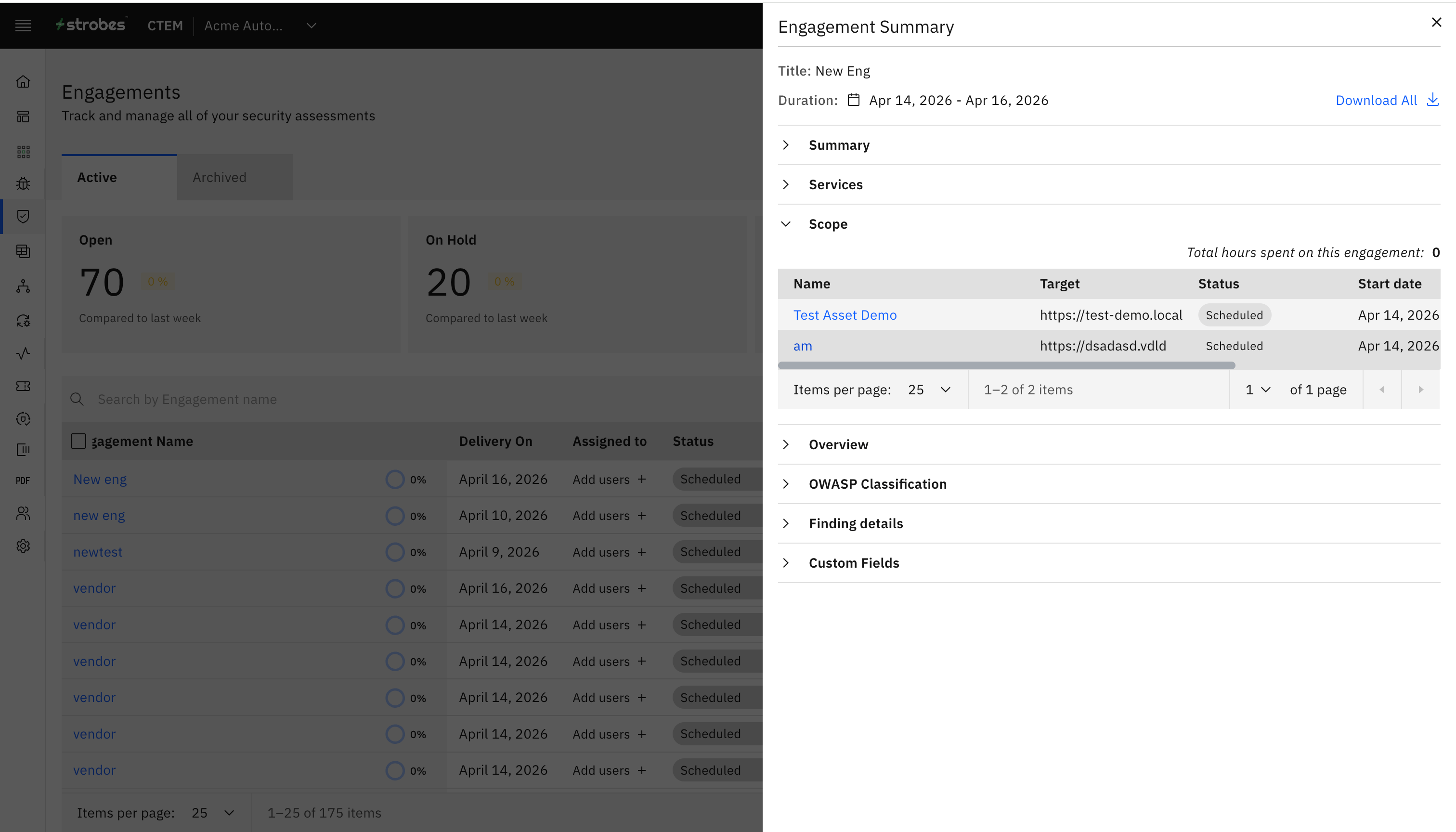 Engagement Summary Report Download: 2. Scope (screenshot 3)