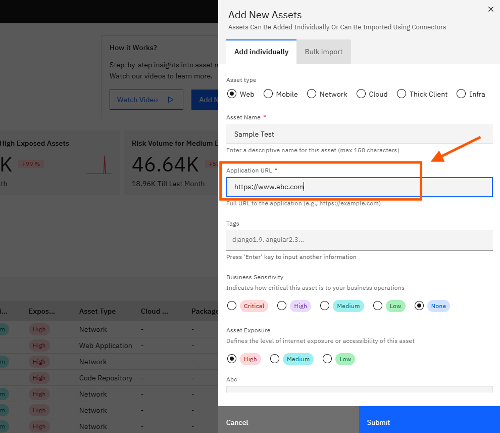 Understanding and Managing Assets in Strobes: Step 9 — Click the Application URL Field and Enter the URL (screenshot 9)