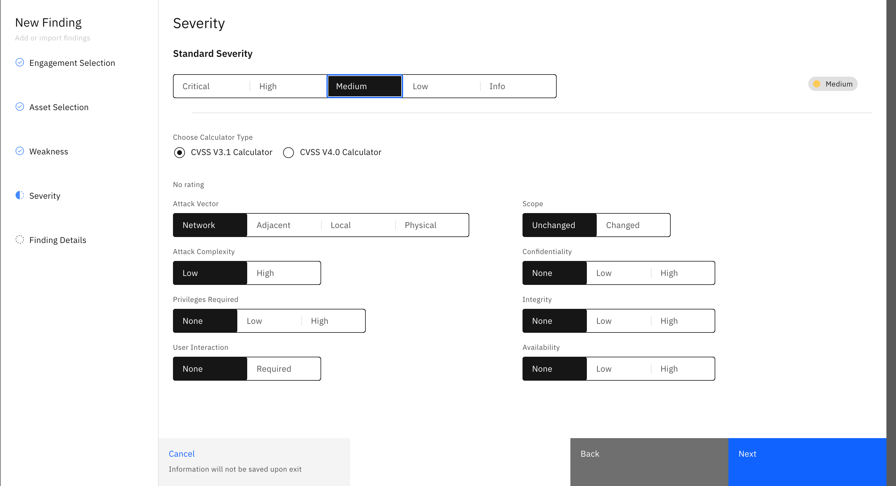 Submitting a web-level vulnerability: Logging a Web Level Vulnerability: (screenshot 4)