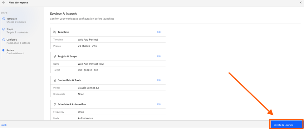 Running a pentest from a template: Step 6: Review and launch (screenshot 7)