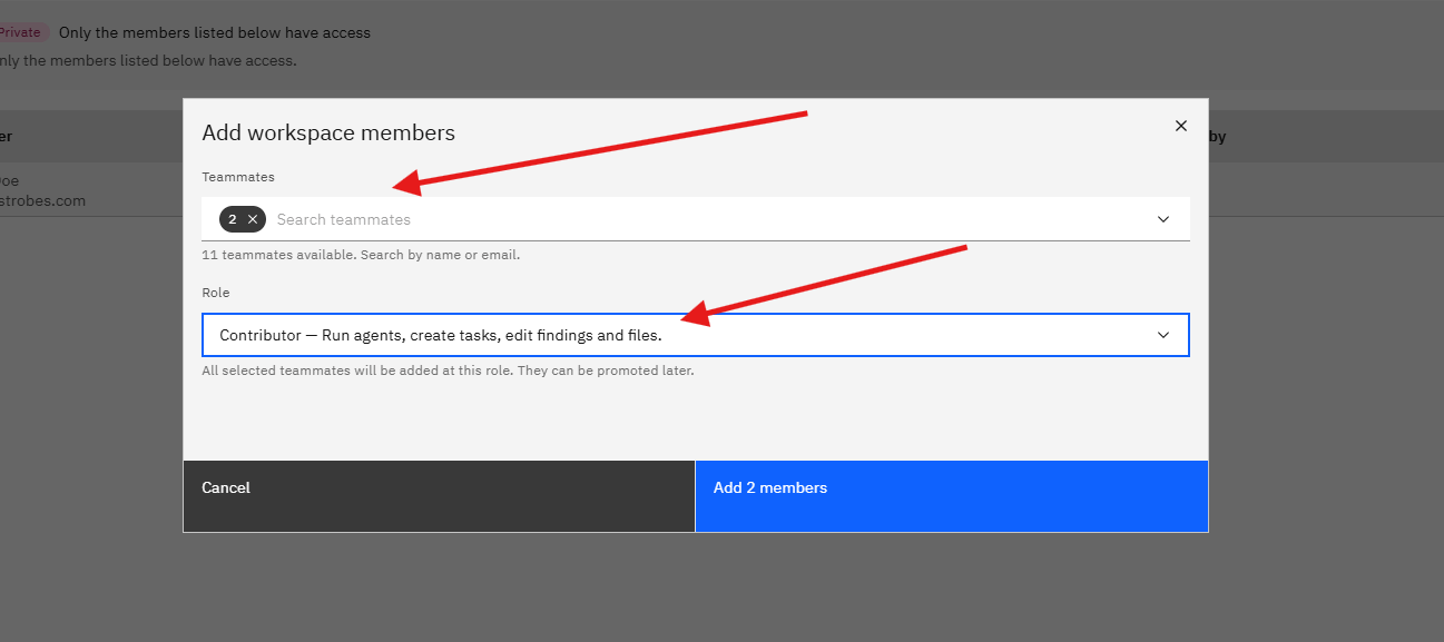 Managing AI Workspace Isolation and AI Member Access: Step 9 — Select a Role (screenshot 10)