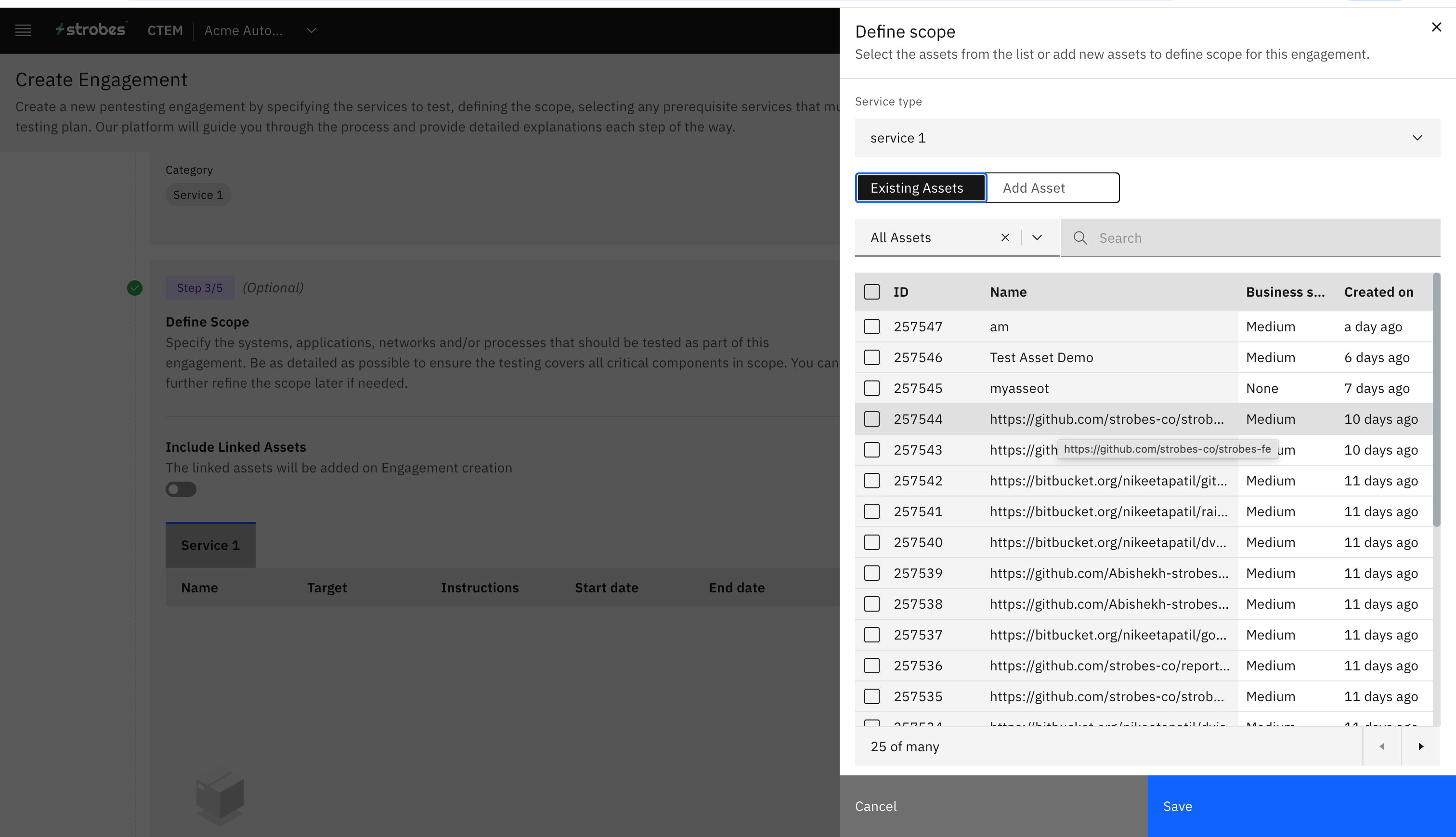 Creating an Engagement: Step 5: Define the Scope (screenshot 6)