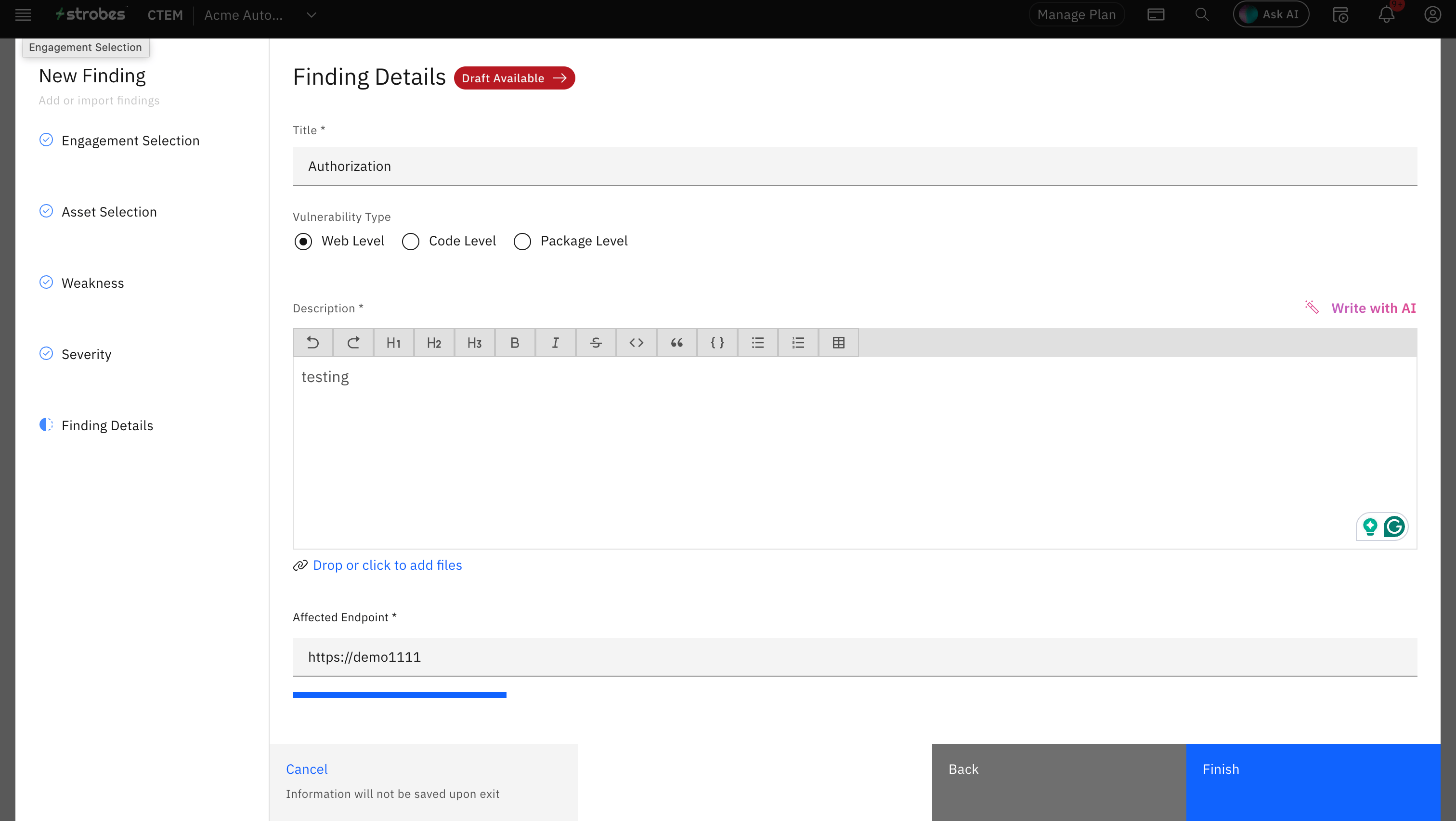Submitting a web-level vulnerability: Logging a Web Level Vulnerability: (screenshot 5)