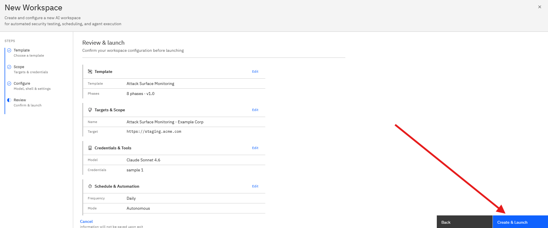 Attack Surface Monitoring Template: Step 13: Launch the Monitoring Workspace (screenshot 15)