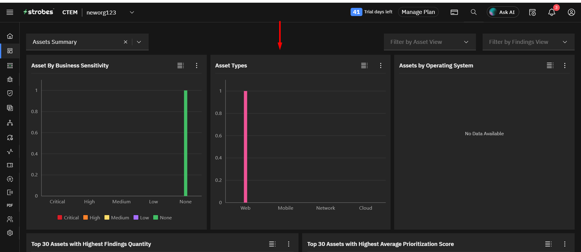 Asset Summary: Asset Types (screenshot 2)