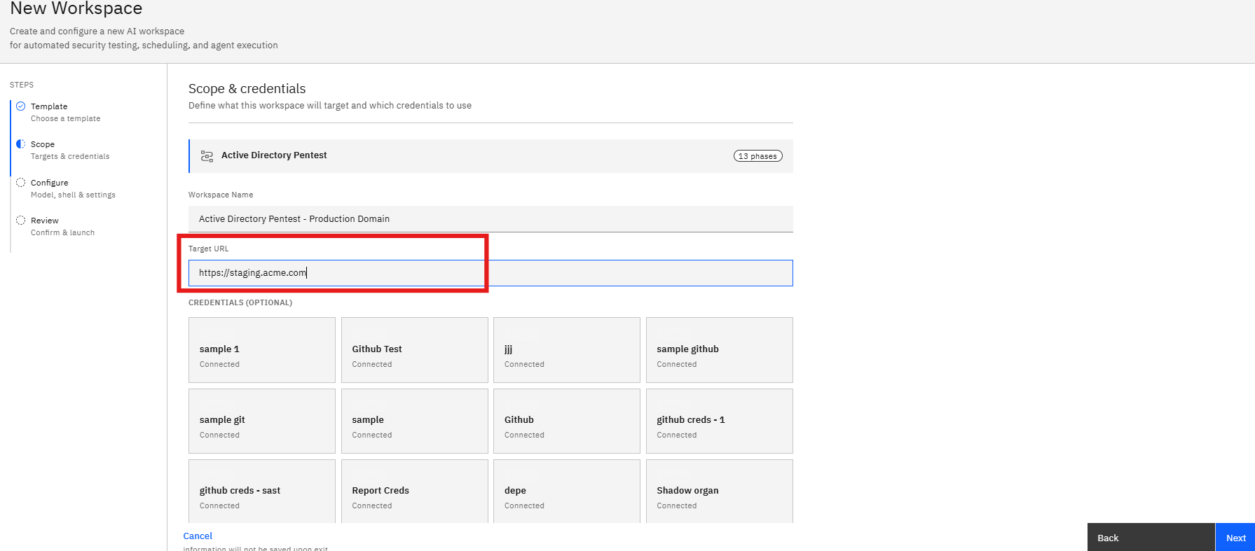 Active Directory Pentest Template: Step 3: Select the Target Environment (screenshot 7)