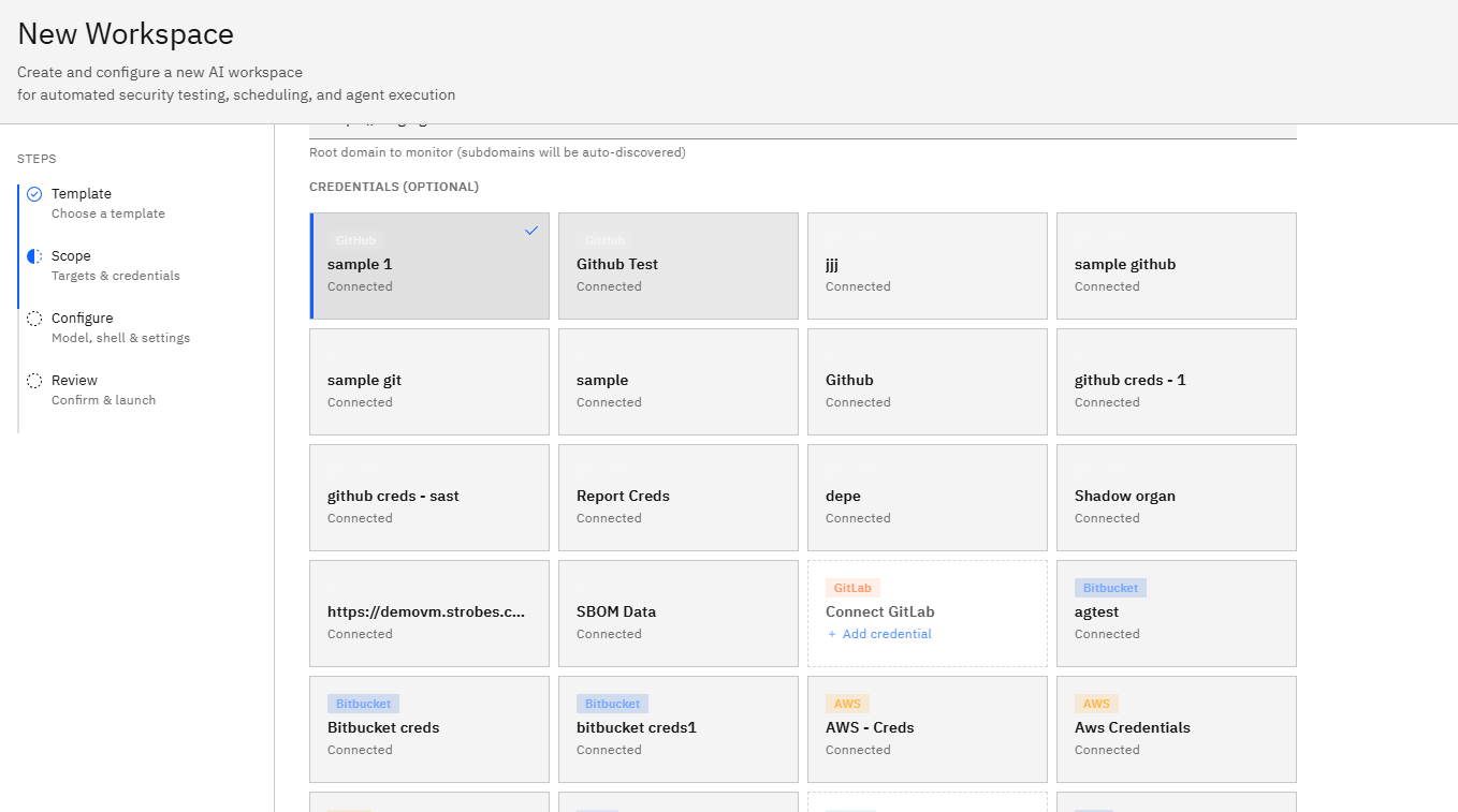 Attack Surface Monitoring Template: Step 4: Select Credentials (Optional) (screenshot 9)