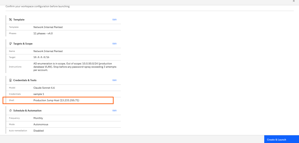 Network Internal Pentest: Step 6: Review and launch (screenshot 7)