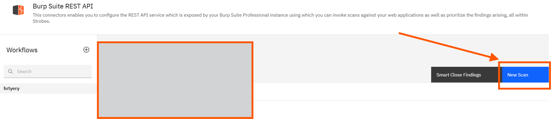 Initiating a Burp Scan: Initiate the Burp Scan (screenshot 5)