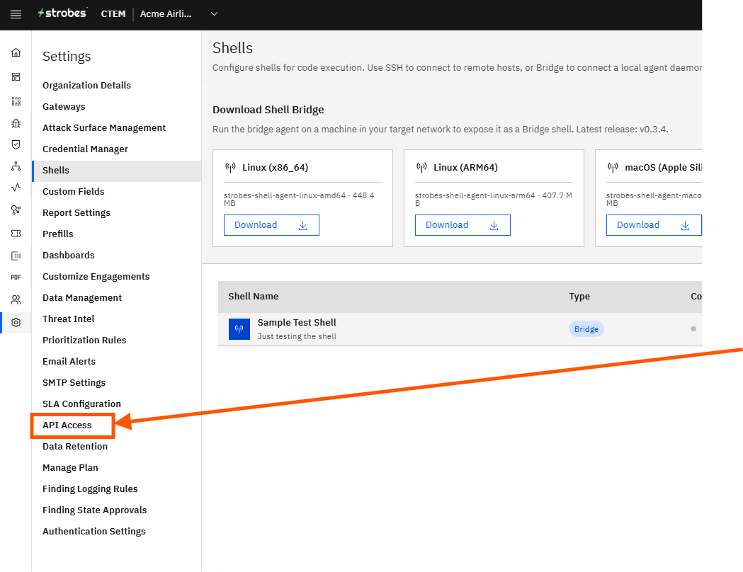 Creating a Shell Using Shell Bridge in Strobes: Step 10 — Click API Access in the Settings Sidebar (screenshot 10)