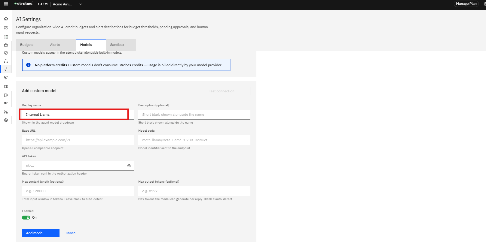 Bringing Your Own Model to Strobes: Step 5 — Enter a Display Name (screenshot 5)