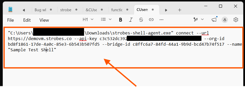 Creating a Shell Using Shell Bridge in Strobes: Step 13 — Paste Your API Key into the Connect Command (screenshot 13)