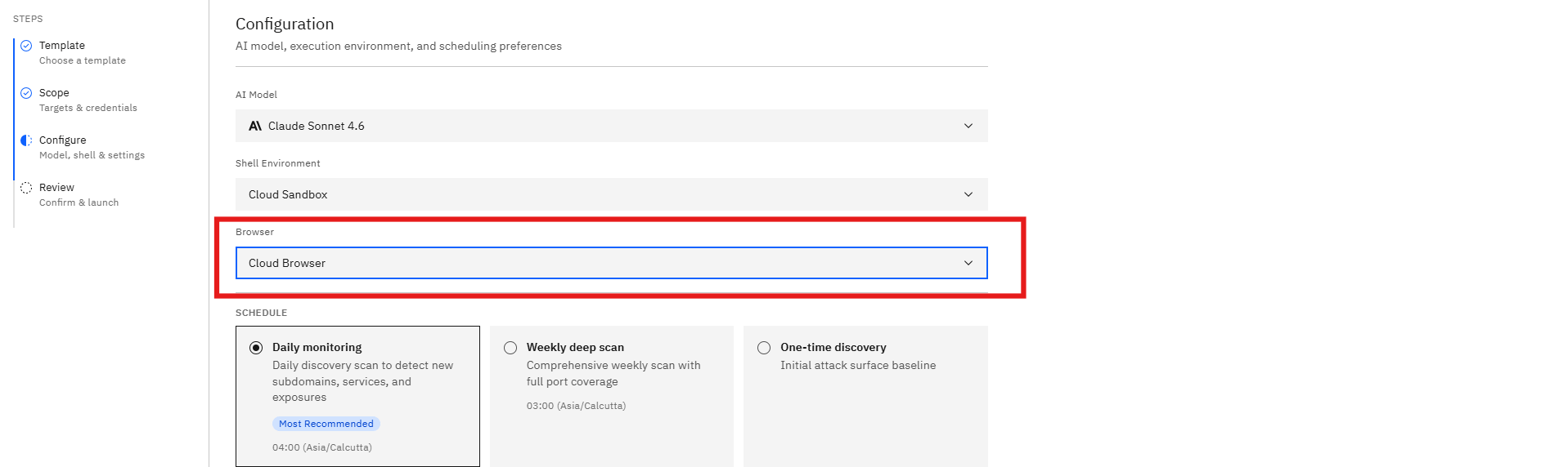 Attack Surface Monitoring Template: Step 8: Configure the Browser Environment (screenshot 12)
