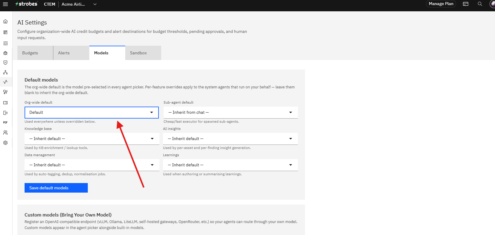 Bringing Your Own Model to Strobes: Step 3 — Review Default Model Assignments (Optional) (screenshot 3)