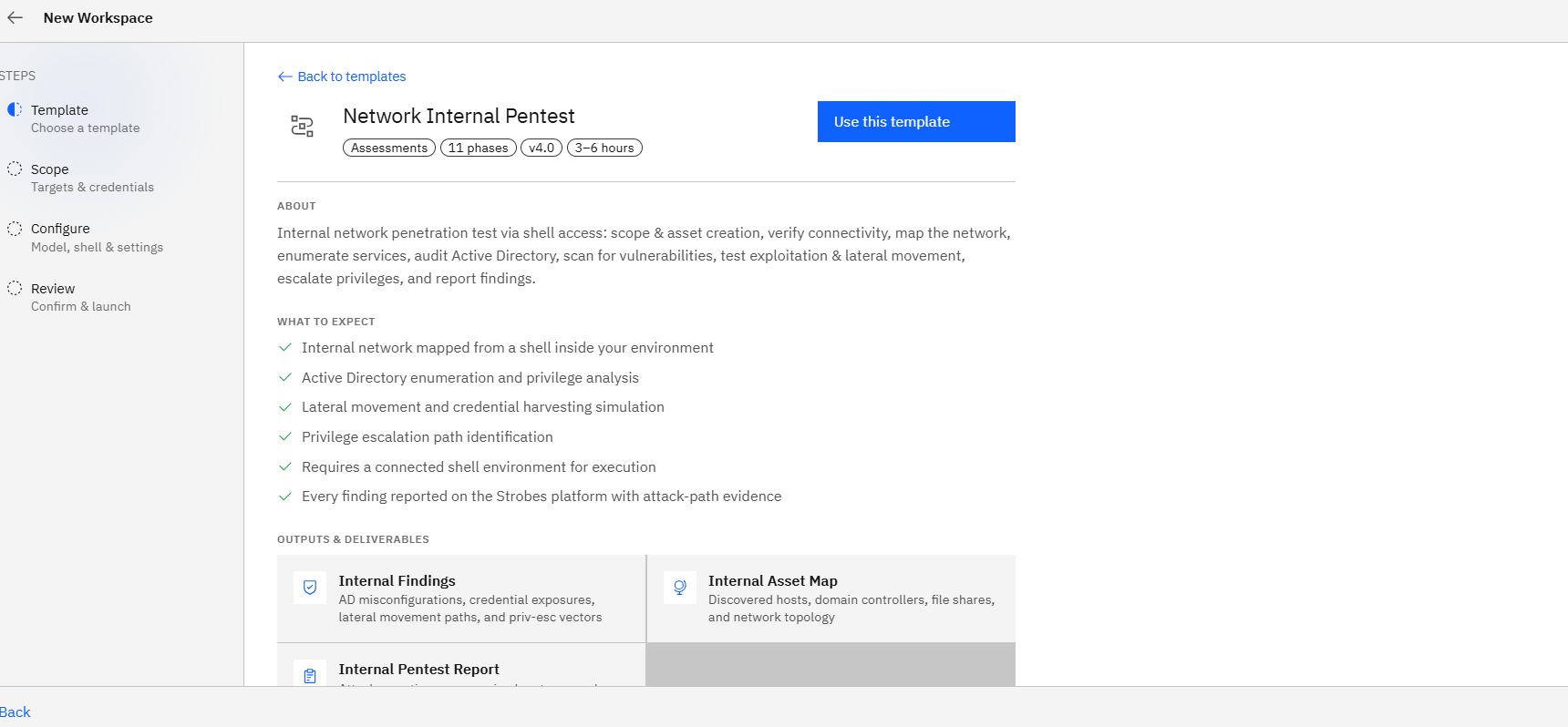 Network External Pentest: Step 1: Open the wizard and pick the template (screenshot 4)