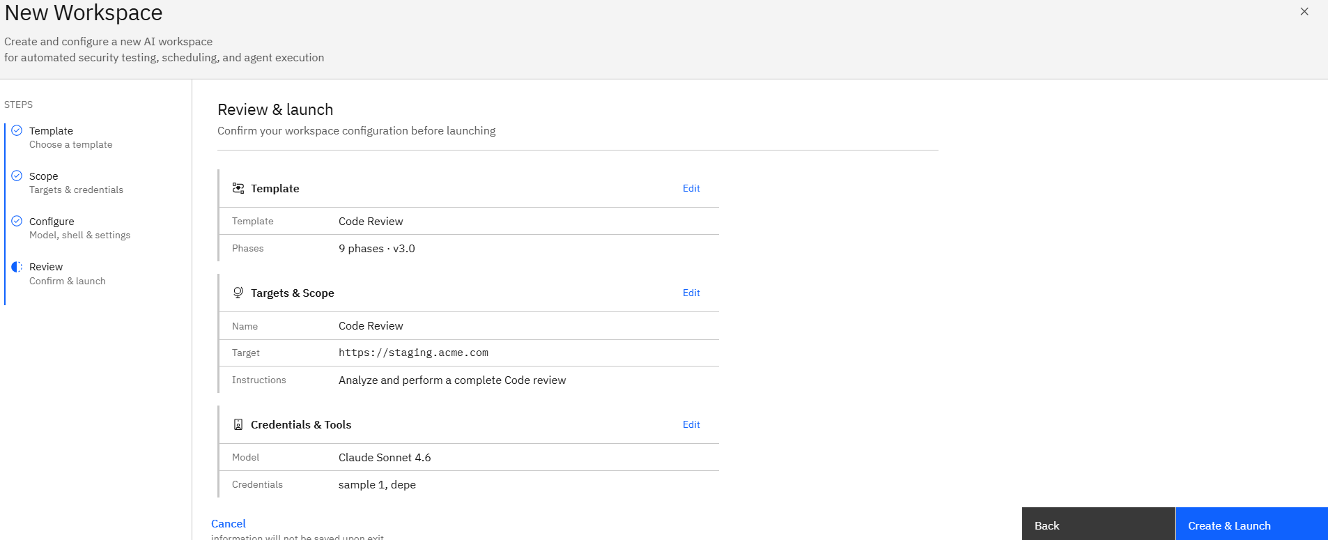 Code Review Assessment via Template: Step 11: Continue to Review and Launch (screenshot 14)