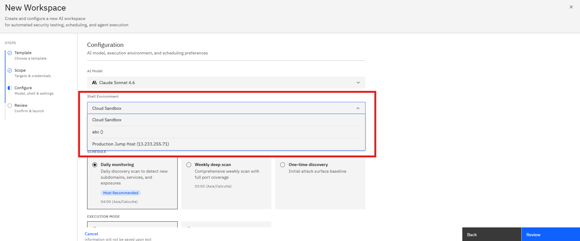 Attack Surface Monitoring Template: Step 7: Configure the Shell Environment (screenshot 11)