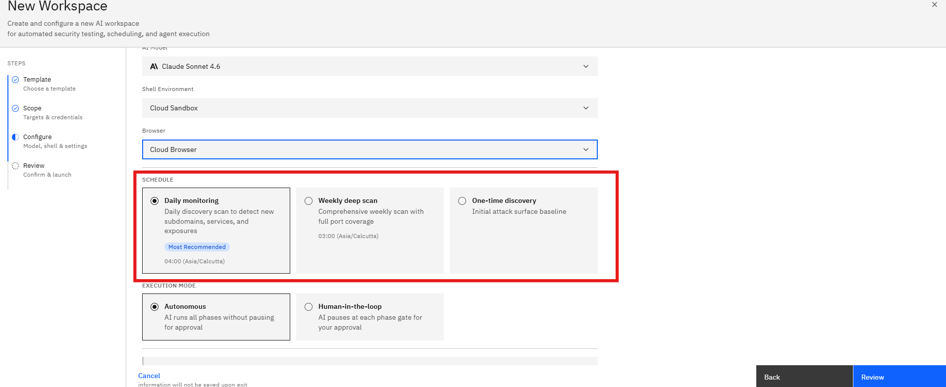 Attack Surface Monitoring Template: One-Time Discovery (screenshot 13)