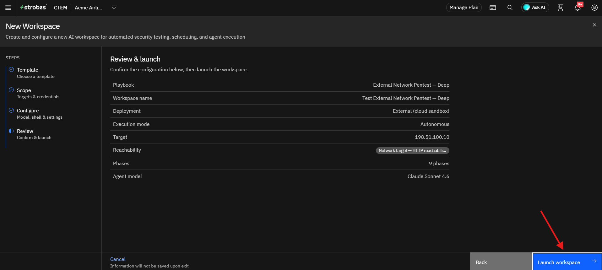 Running External Network Pentest by Strobes AI: Step 12: Review and Launch the Workspace (screenshot 18)
